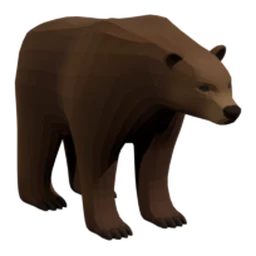 Grizzly Bear