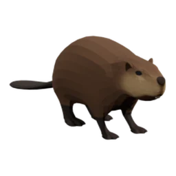 Beaver