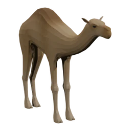 Dromedary Camel