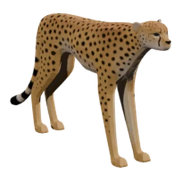 Saharan Cheetah