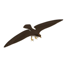 Lanner Falcon