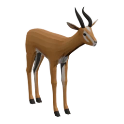 Dorcas Gazelle