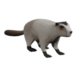 Hoary Marmot