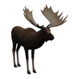 Moose