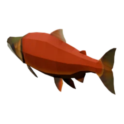 Kokanee Salmon