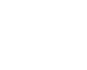 Cattle Skull