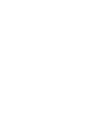 License Plate - Art of Rally