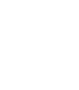 License Plate - Art of Rally