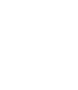 License Plate - Golden Lap