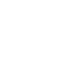 Ram Skull